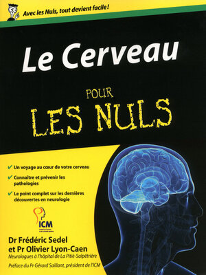cover image of Le Cerveau Pour les Nuls